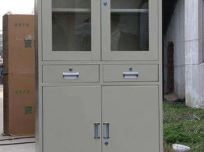 图 广州文件柜钢制品制作 铁皮柜订做工厂 广州办公用品